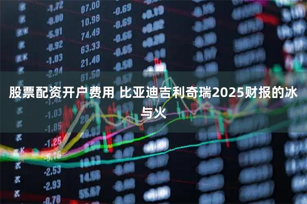 股票配资开户费用 比亚迪吉利奇瑞2025财报的冰与火